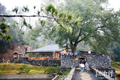 归隐松涧·理想村落：长株潭“绿心”深处的身心栖息地