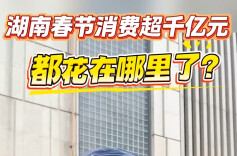 亮数据丨湖南春节消费超千亿元，都花在哪里了？
