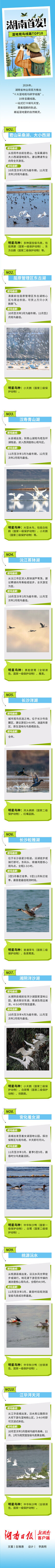 全省已划定20处候鸟迁徙通道保护区域