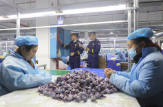 护航企业安全复工