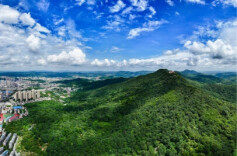 金洞“五林经济”铺出富民路@湖南日报市州头条