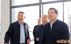 临澧：李雨初调研企业复工复产和项目建设工作