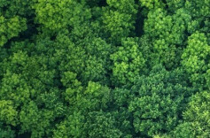 春节期间我省多措并举实现森林火灾“零发生”