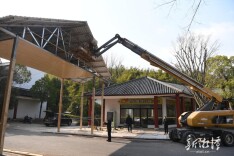 盘龙大观园：以花海之名赴“绿心”之约