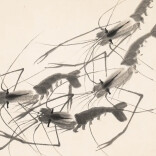 简约、自然而唯美——齐白石国画的美学追求