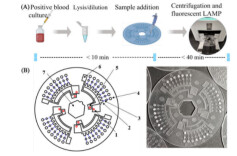 颠覆性突破！湘雅三医院联合湖大研发“白菜价”芯片，50分钟锁定血流感染元凶