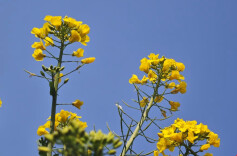 2026“我的寒假”主题征文投稿：寒假中我陪父亲散步