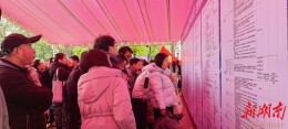 提供3000多个岗位 常德“春风行动”铺就暖心就业路