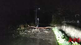 荷塘区龙洲村：连夜冒雨除险情 守护清晨“畅行路”