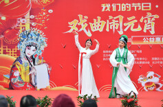 戏曲闹新春
