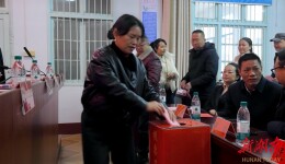 农工党武冈市总支召开2025年度工作总结暨换届选举大会