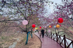 2026“我的寒假”主题征文投稿：我在寒假收到的生日礼物