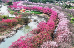 2026“我的寒假”主题征文投稿：我在寒假挖荸荠