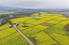 农旅融合旺  乡村画卷新