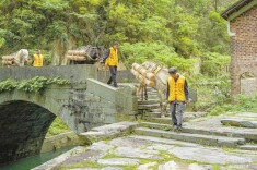 黄花溪|湘江副刊·湘韵