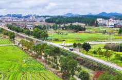春入画屏  醉美田园