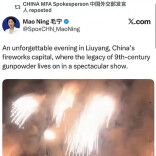 外交部发言人毛宁，再次向世界推介浏阳烟花