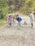 绥宁县：以工代赈铺就乡村振兴“幸福路”