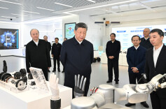 三个“桩”撑起“一盘棋”