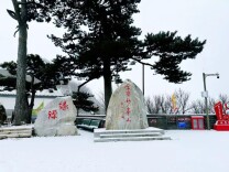 雪落妙峰山：松枝缀冰晶，古刹藏雪间