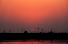 寻找摄影师 | 曾晓芳：在镜头两端，我与瞬间彼此认出