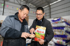 隆平种业助力低镉稻推广