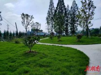 沅澧一线·点赞丨安乡：倡导绿色殡葬，共树文明新风