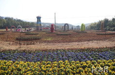 盘龙大观园：以花海之名赴“绿心”之约