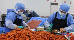 武冈市企业奋战“开门红”，跑出发展“加速度”