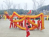 岳阳：老年舞龙队新春送祝福