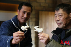 安仁：米塑传文脉 匠心忆大师