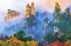 新春文旅实现口碑流量双丰收，张家界浓浓年味留住八方游客@湖南日报市州头条