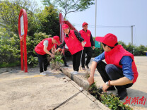 杏子铺镇：党建领航“三治融合” 奏响基层治理和谐曲