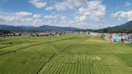 绥宁：深耕沃野筑根基，实干兴农促振兴