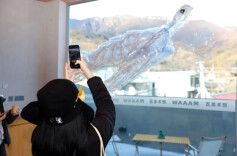 “超短学期”来了，这份开学收心指南请查收