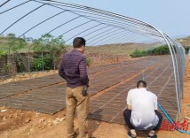 安仁县：春耕备耕忙 不负农时不负春