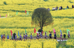 Flowers Bloom Across Hunan in Spring