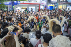 从一场调度会看湖南对非贸易的“解题思路”