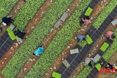 不负育苗好时节