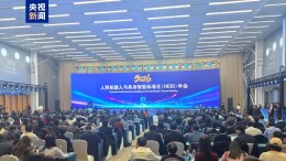 我国首个人形机器人与具身智能标准体系发布