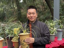 春季赏兰正当时