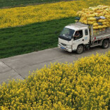 “极边之城”腾冲：康养旅居赋能乡村振兴