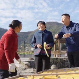 厉害！岳阳县公田镇凤姐和方奇，凭一部手机把家乡山货卖向全国！