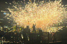 2025年国民经济和社会发展统计公报发布，哪些亮点值得关注？