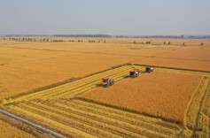 习近平总书记引领中国从脱贫攻坚迈向乡村全面振兴