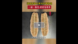 湖南新增40家乡村博物馆，一馆一特色，村村有传奇