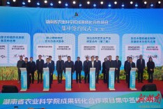 省农科院30个科技成果转化项目集中签约 陈飞出席