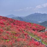 双牌泷旅开展“廉洁迎新春”主题活动