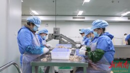 鹤城区：“新春第一访”助力民营企业稳步开局