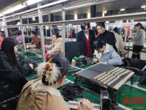 嘉禾县石桥镇：政企同心启新局